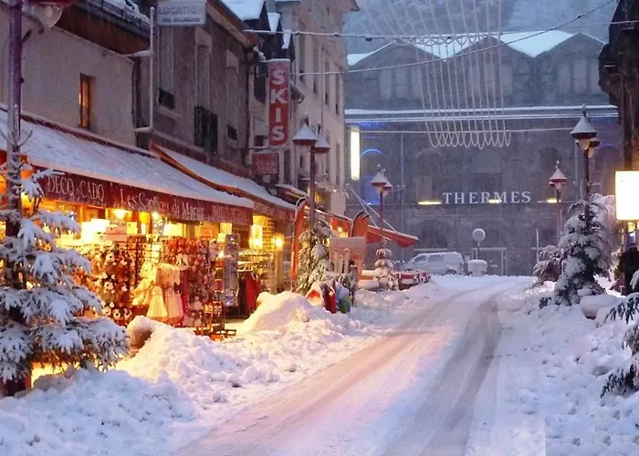 T2 Avec Balcon Et Wifi Au Centre Du Mont-dore - Fr-1-608-75 *