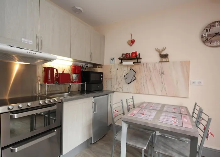 Apartment T2 Avec Balcon Et Wifi Au Centre Du Mont-dore - Fr-1-608-75