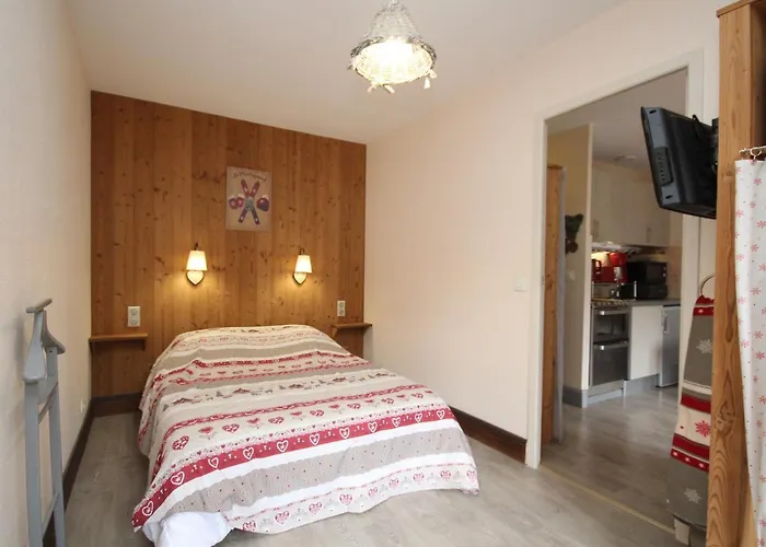 Apartment T2 Avec Balcon Et Wifi Au Centre Du Mont-dore - Fr-1-608-75