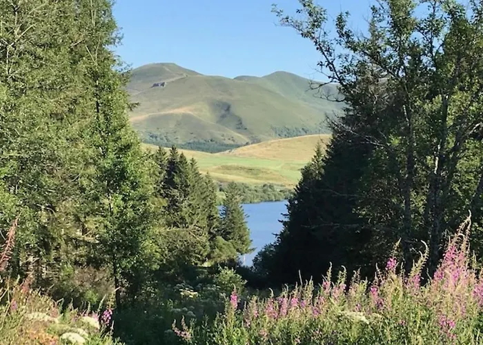 T2 Avec Balcon Et Wifi Au Centre Du Mont-dore - Fr-1-608-75 *