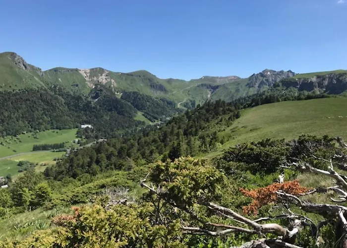 Apartment T2 Avec Balcon Et Wifi Au Centre Du Mont-dore - Fr-1-608-75 Le Mont-Dore